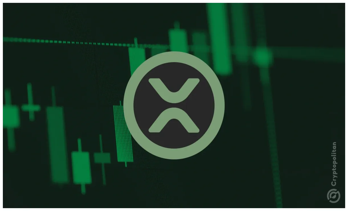 Breaking bitwise files for cryptopolitan