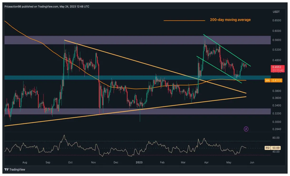 Xrp realtime market value graph live update 2025