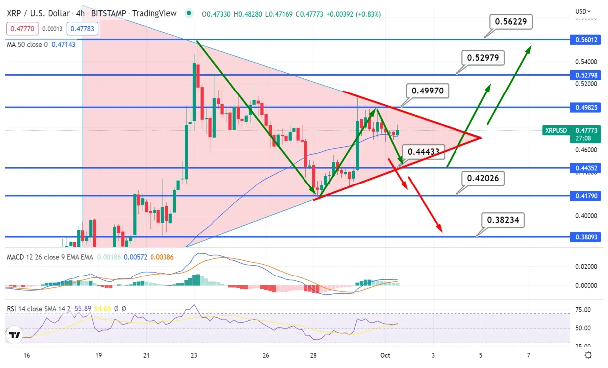 Xrp xrp historical performance graph week 2 january 2026