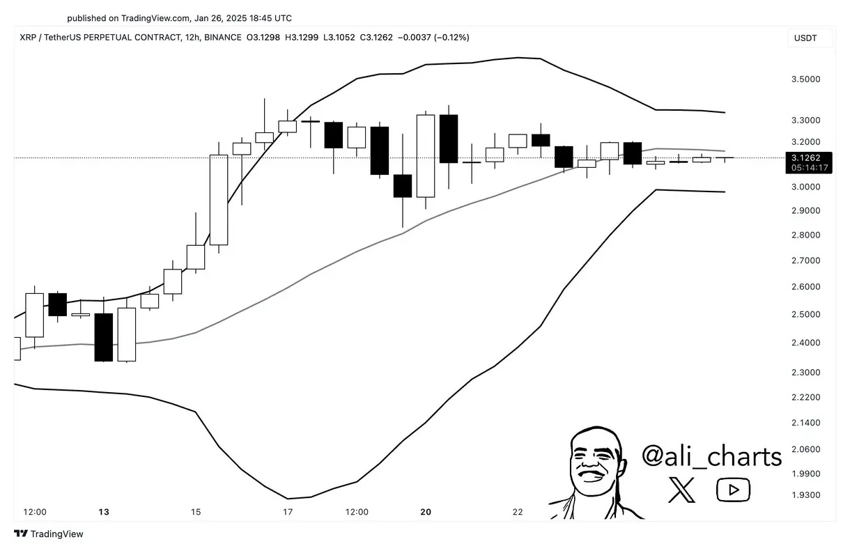 Xrp xrp market trend analysis week 2 january 2026