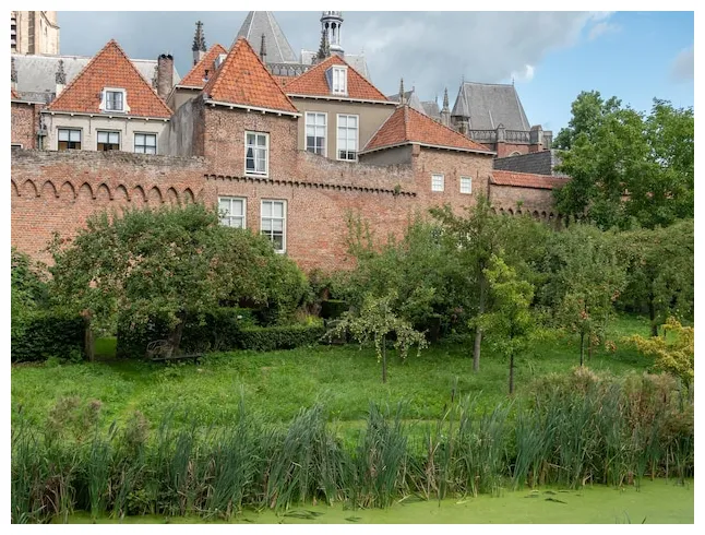 Premium in the netherlands