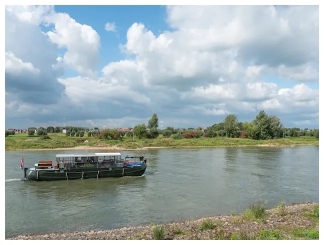 Premium in the netherlands