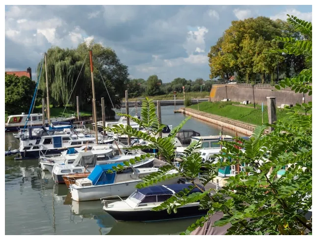 Premium in the netherlands